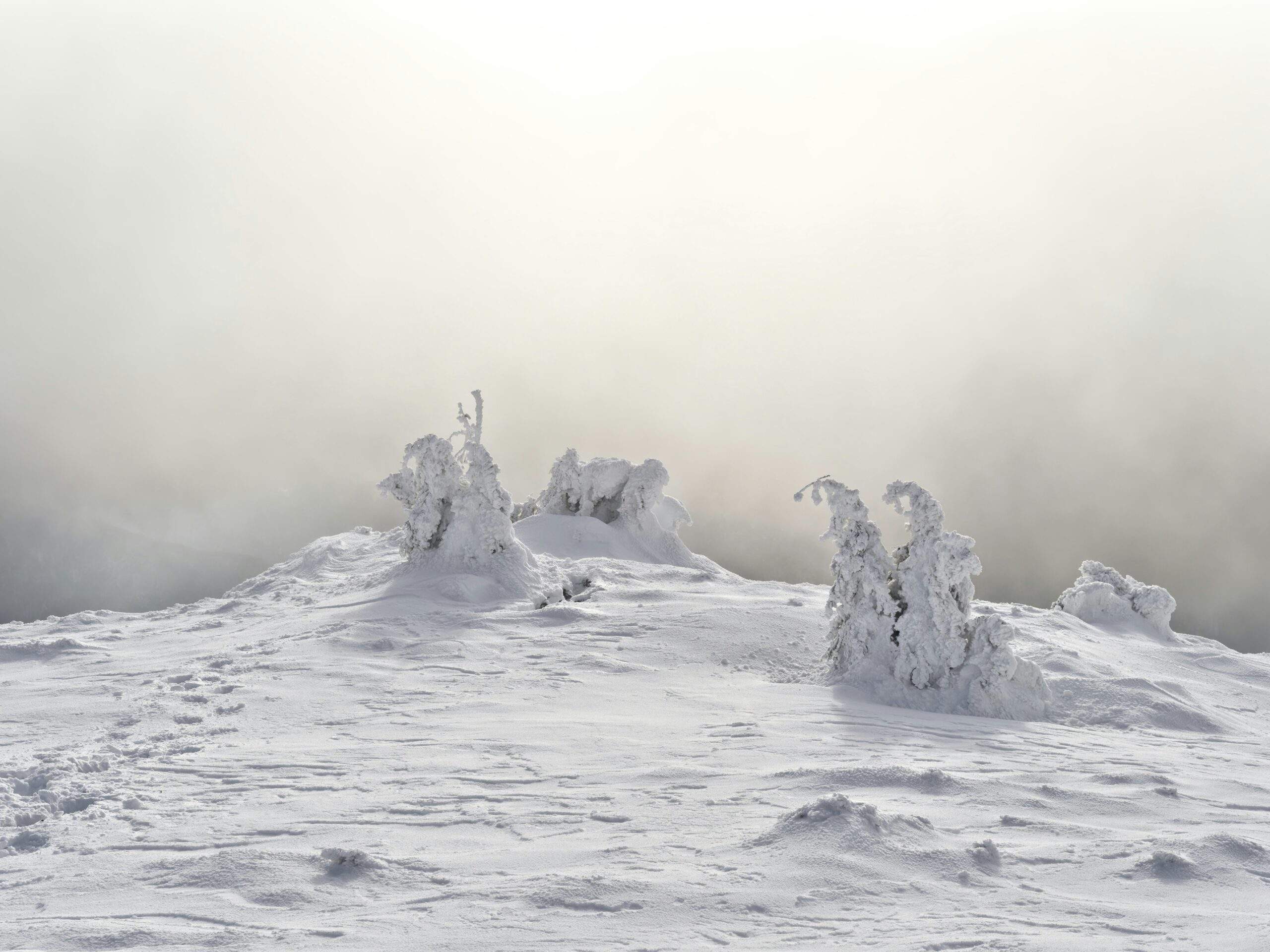 A group of smiling snowshoers taking a break on a snowy hillside