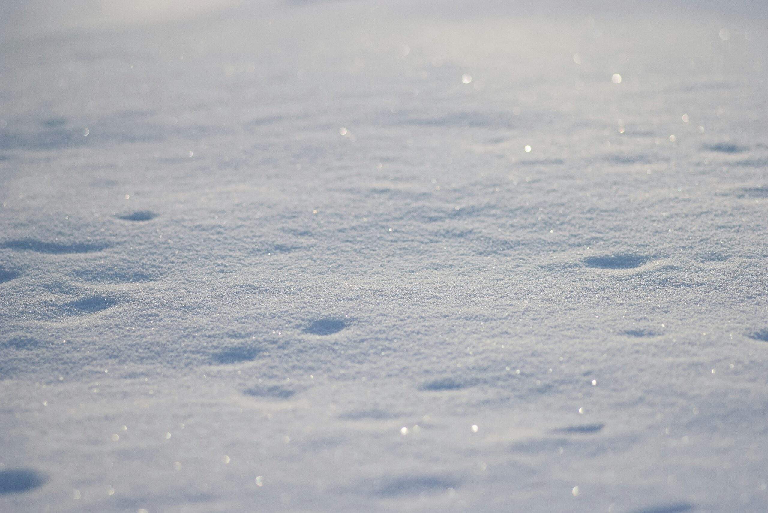A hiker using high-quality snowshoes to navigate deep snow on a mountain trail