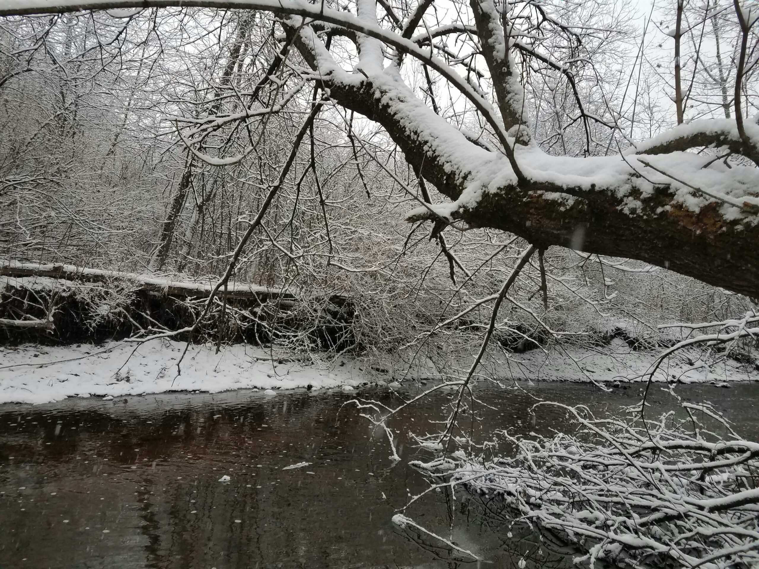A winding snowy trail through a forest, perfect for cross-country snowshoeing