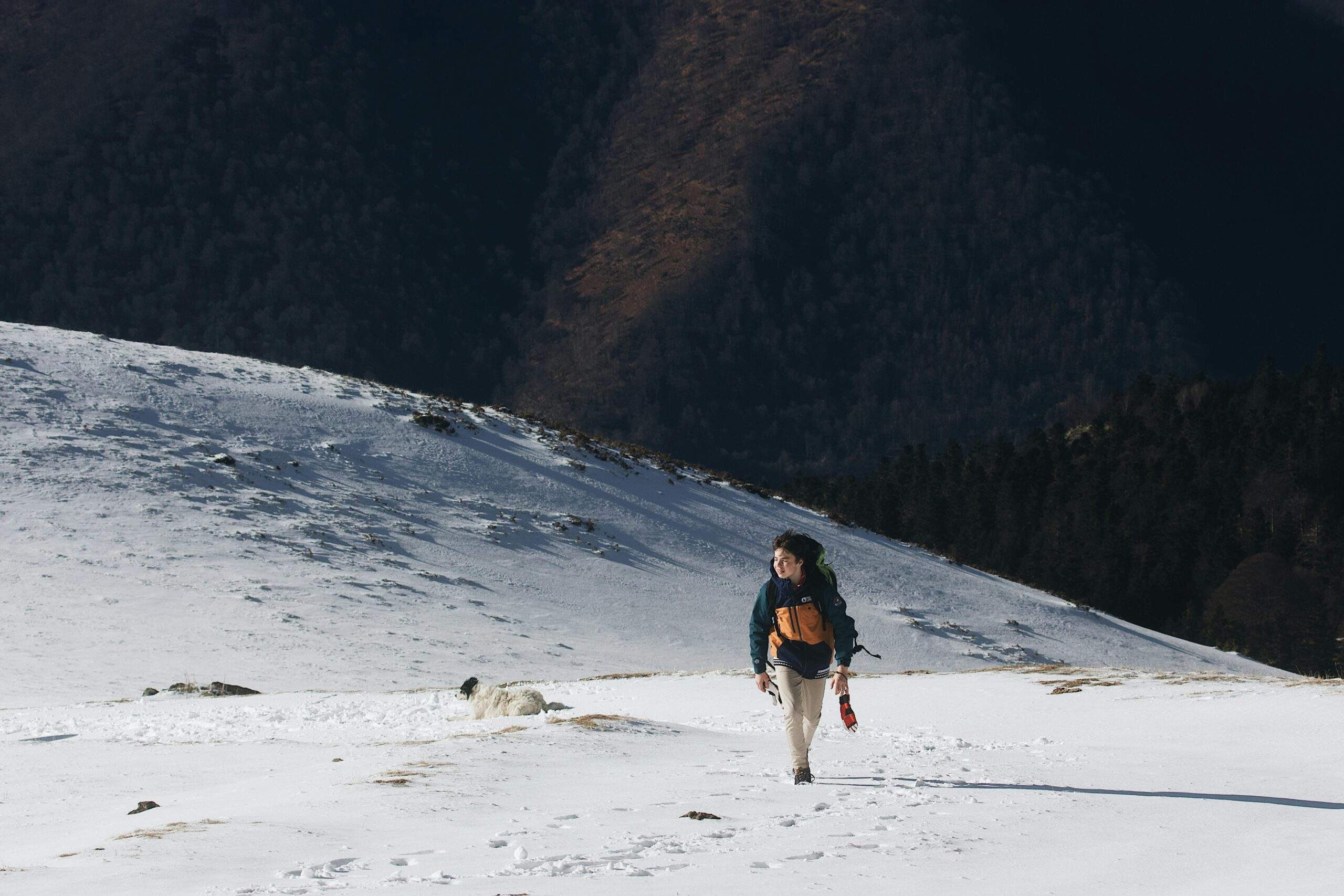 Snowshoe Trail Maps