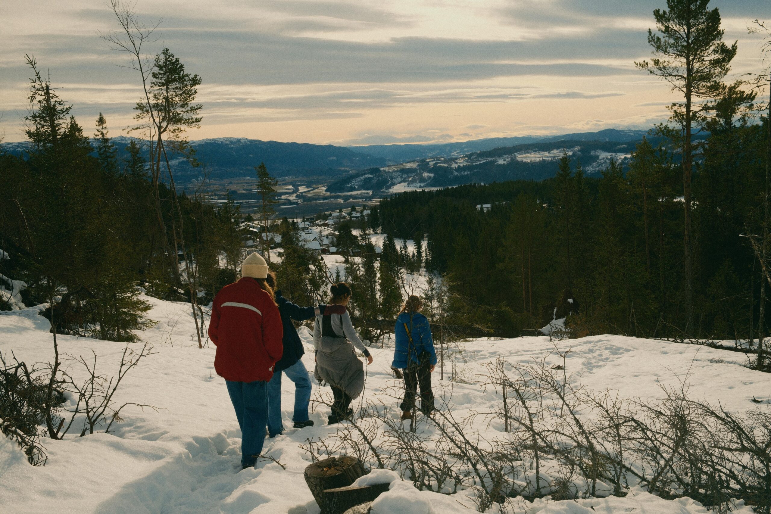 Snowshoeing group in forest