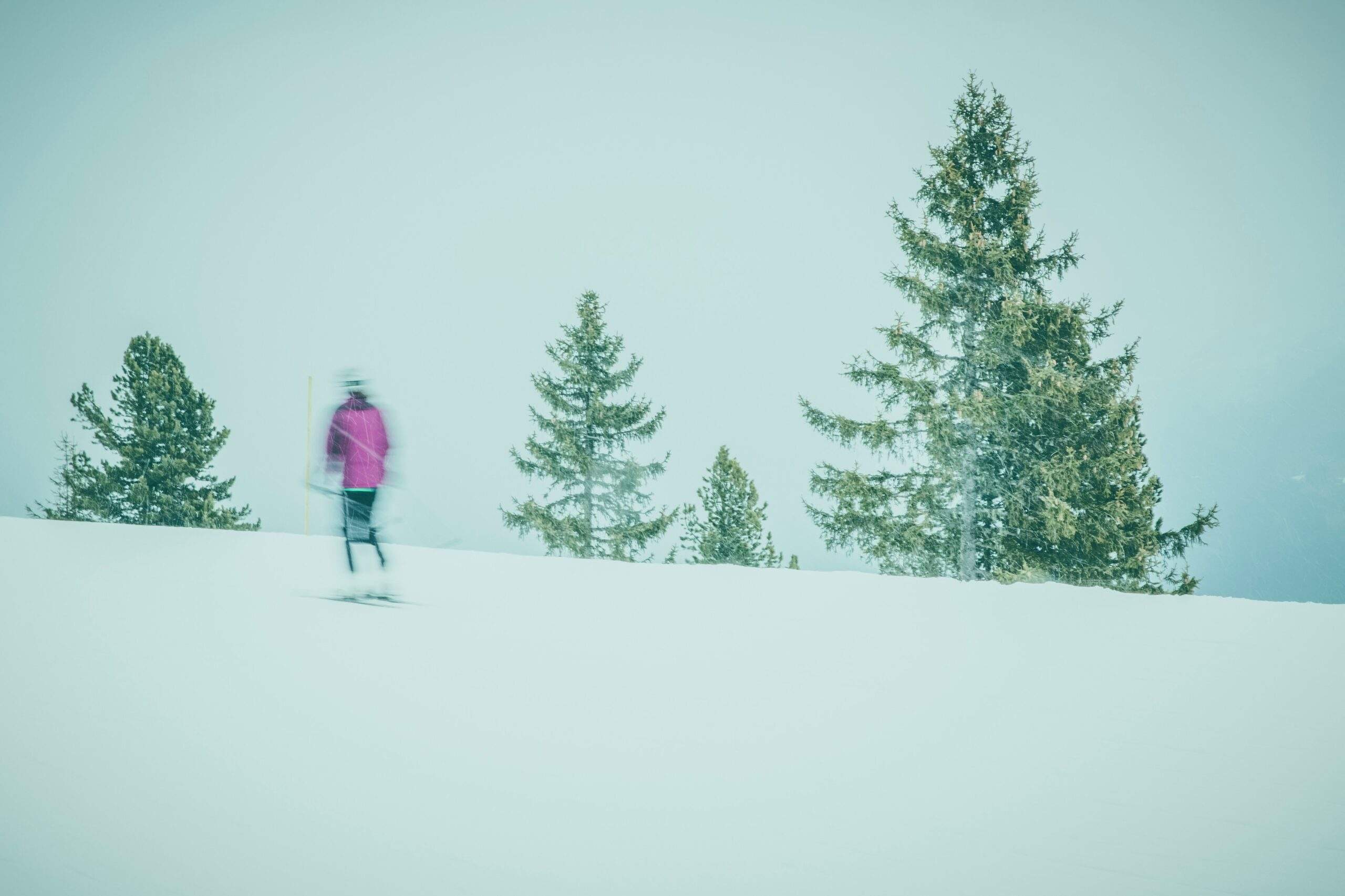 snowshoeing in winter forest