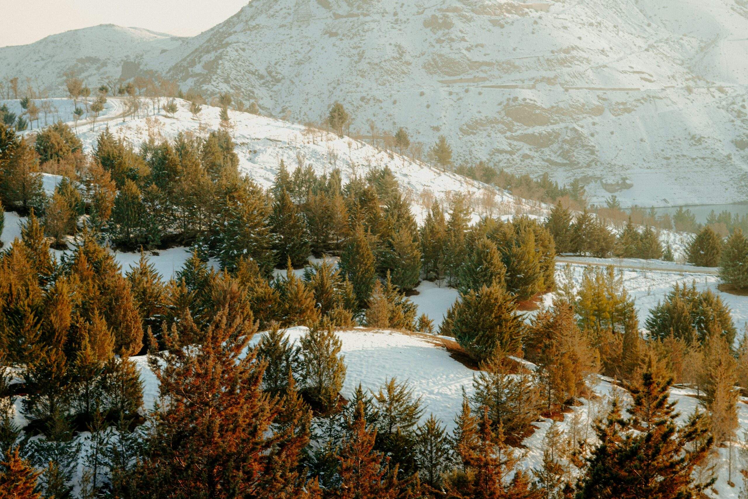 A pair of high-quality snowshoes on a snowy trail with mountains in the background