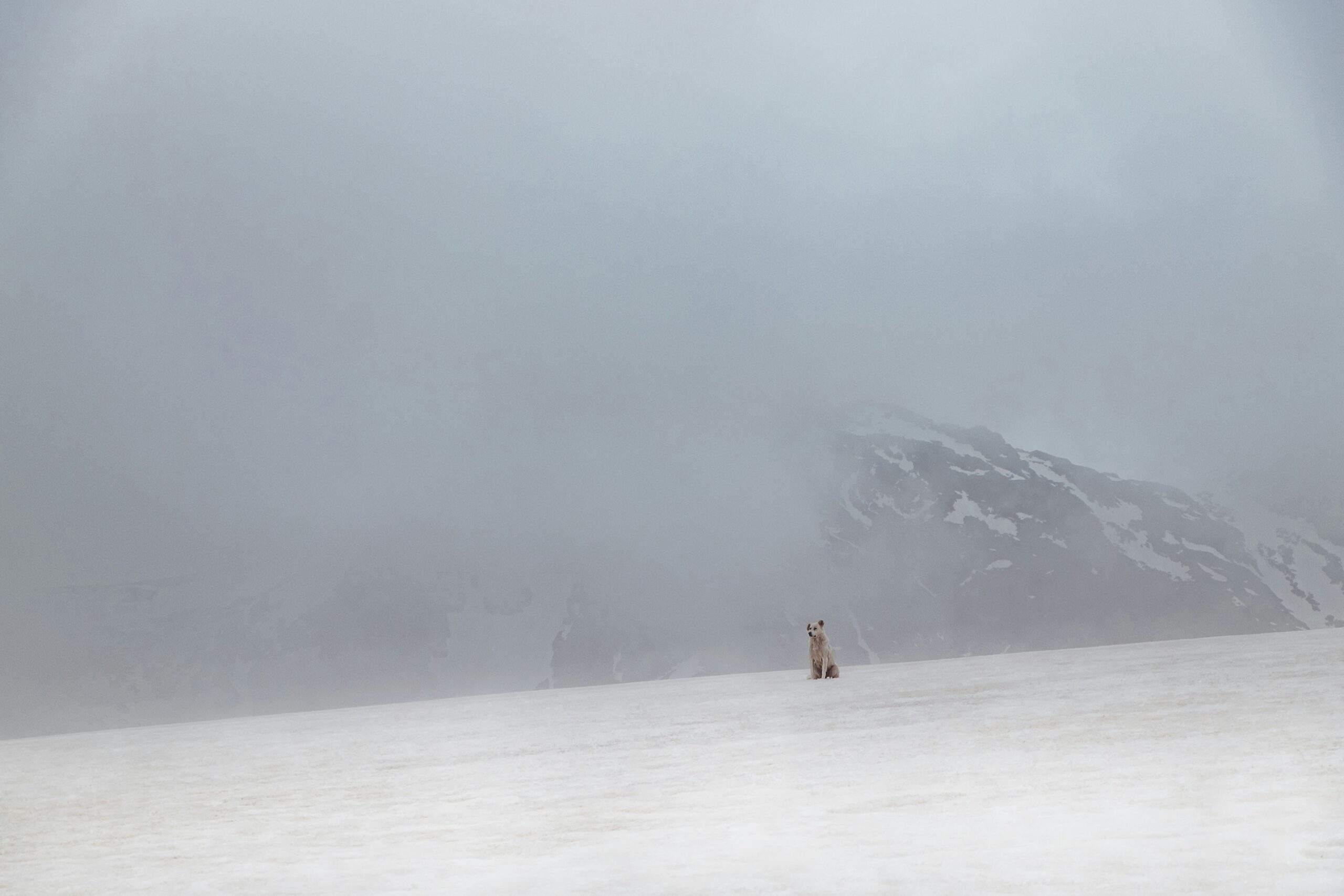 A person sitting alone after a short snowshoe hike