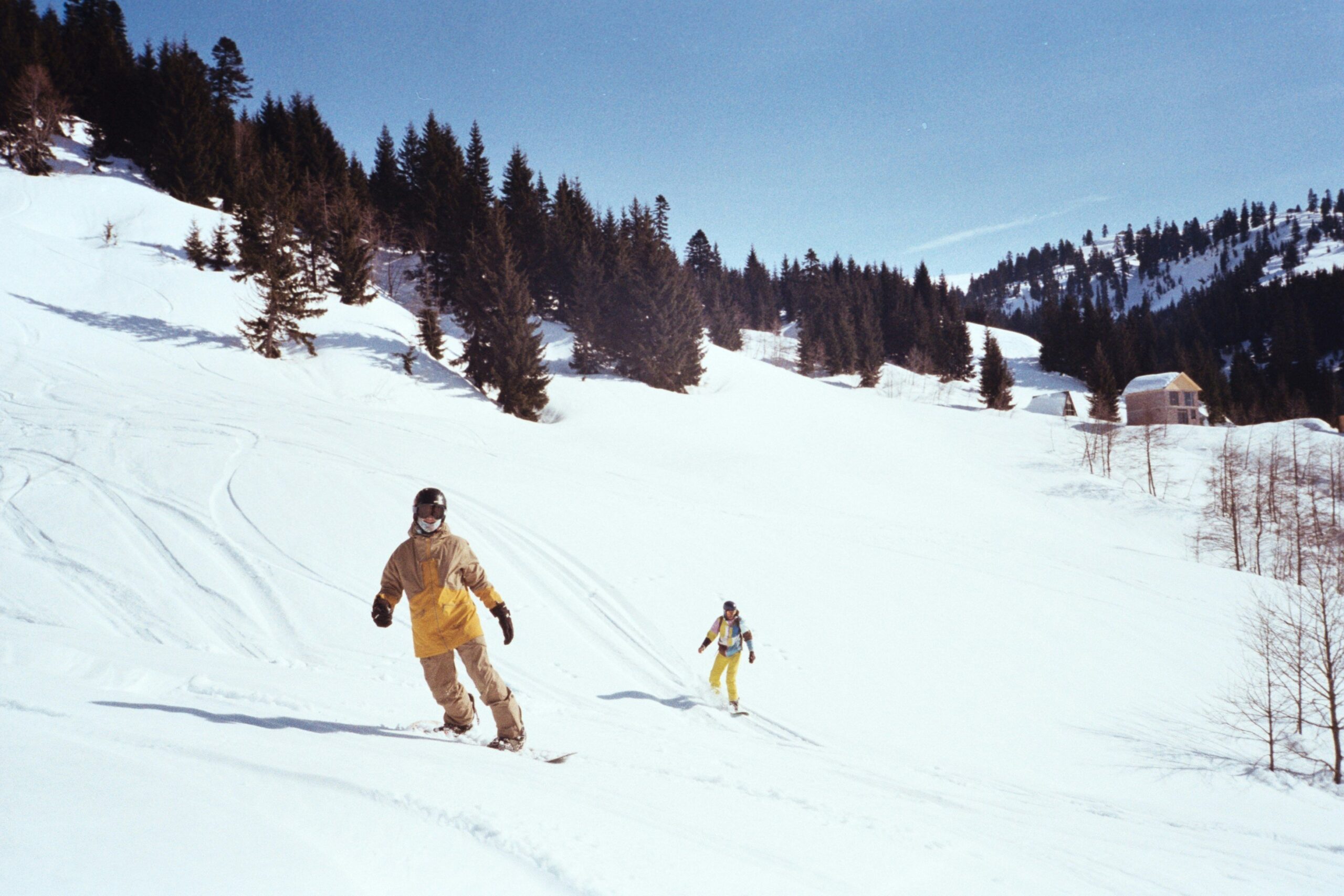 A scenic snow-covered trail leading into dense pine trees.