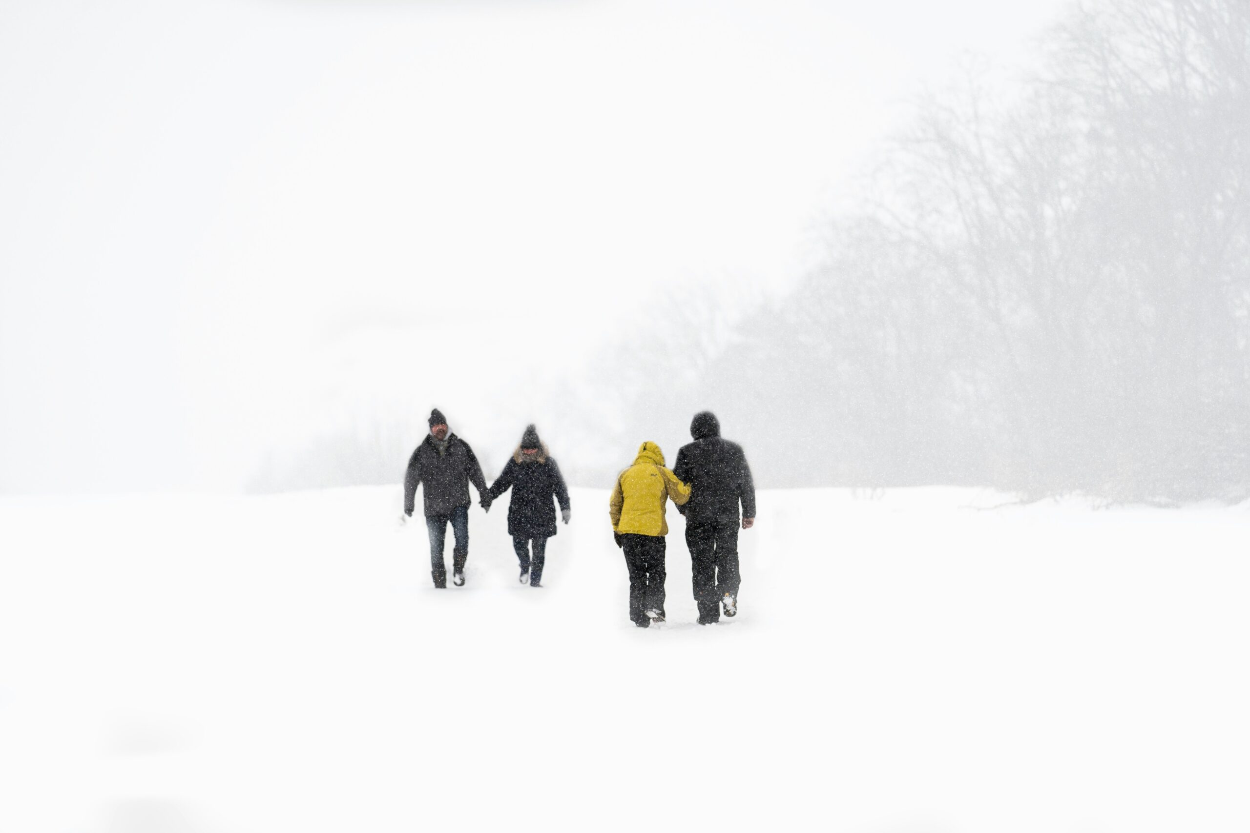 A scenic view of a snowy trail during sunrise, ideal for winter trail snowshoe enthusiasts.