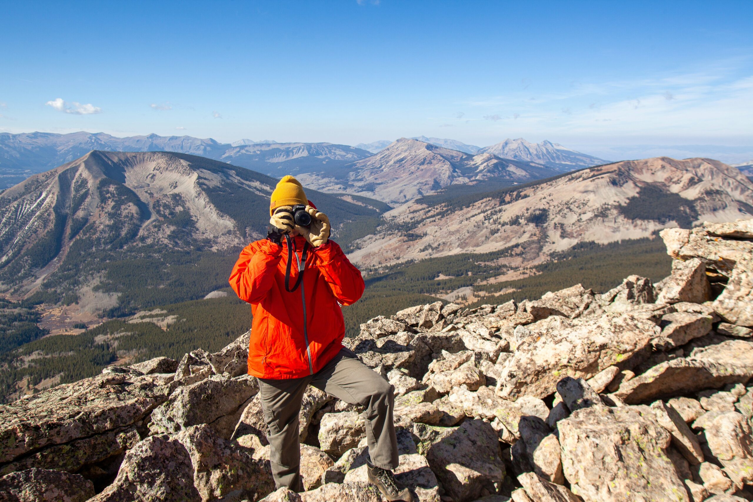 A serene winter landscape with snow-covered trees and a clear blue sky