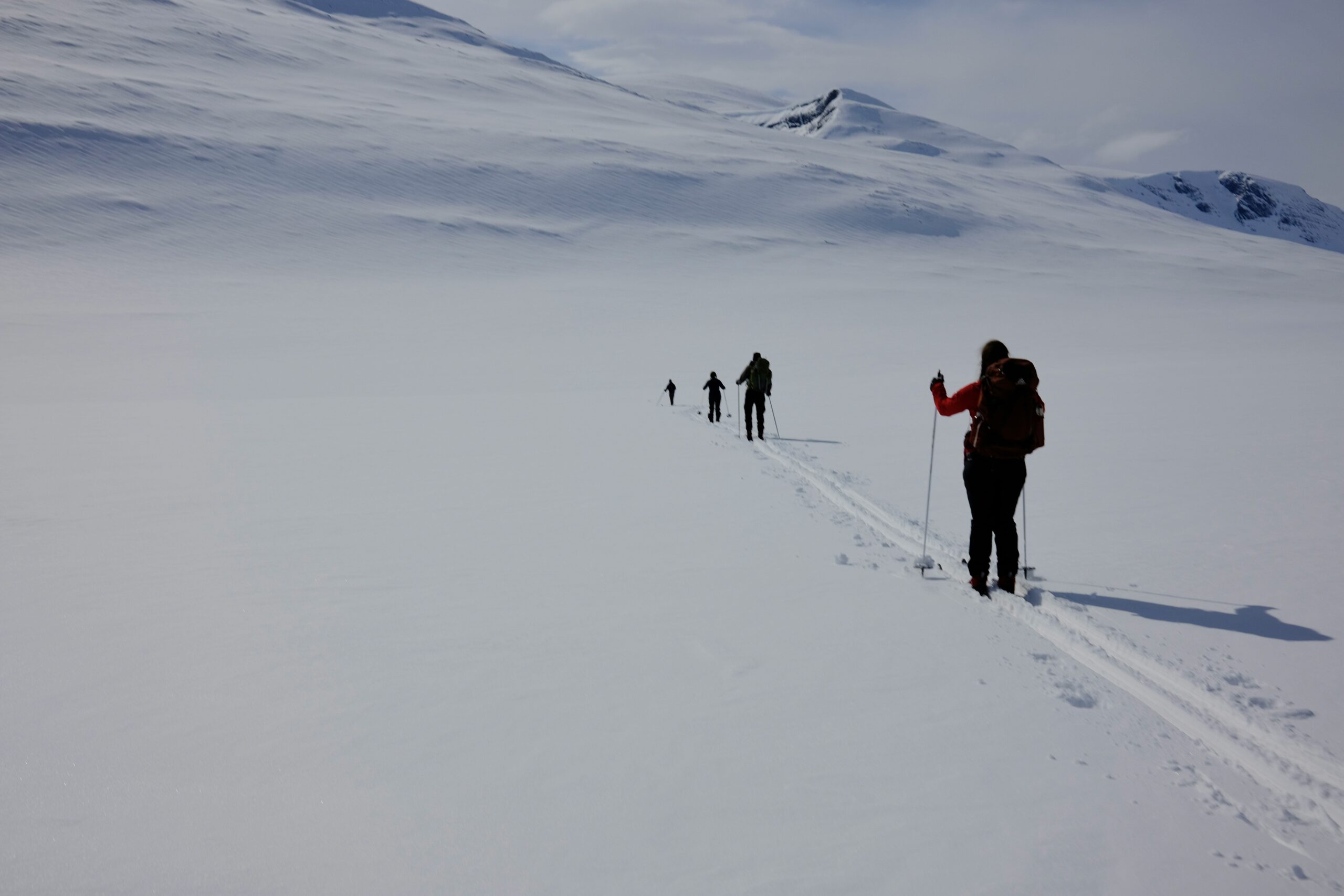 Group of happy snowshoers laughing together on a snowy trail