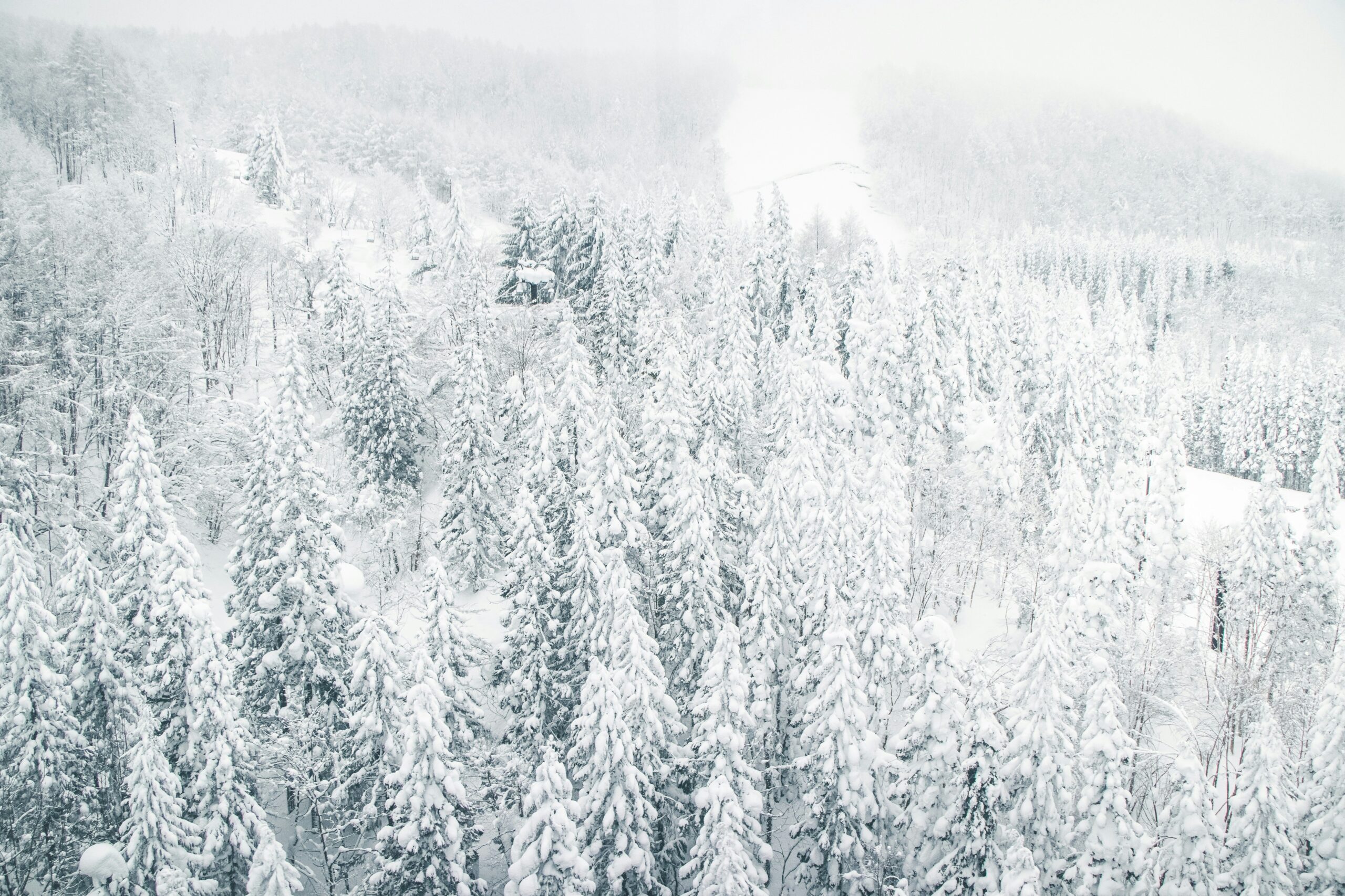 Snow Adventure Discounts: How to Save Big on Your Snowshoeing Tours