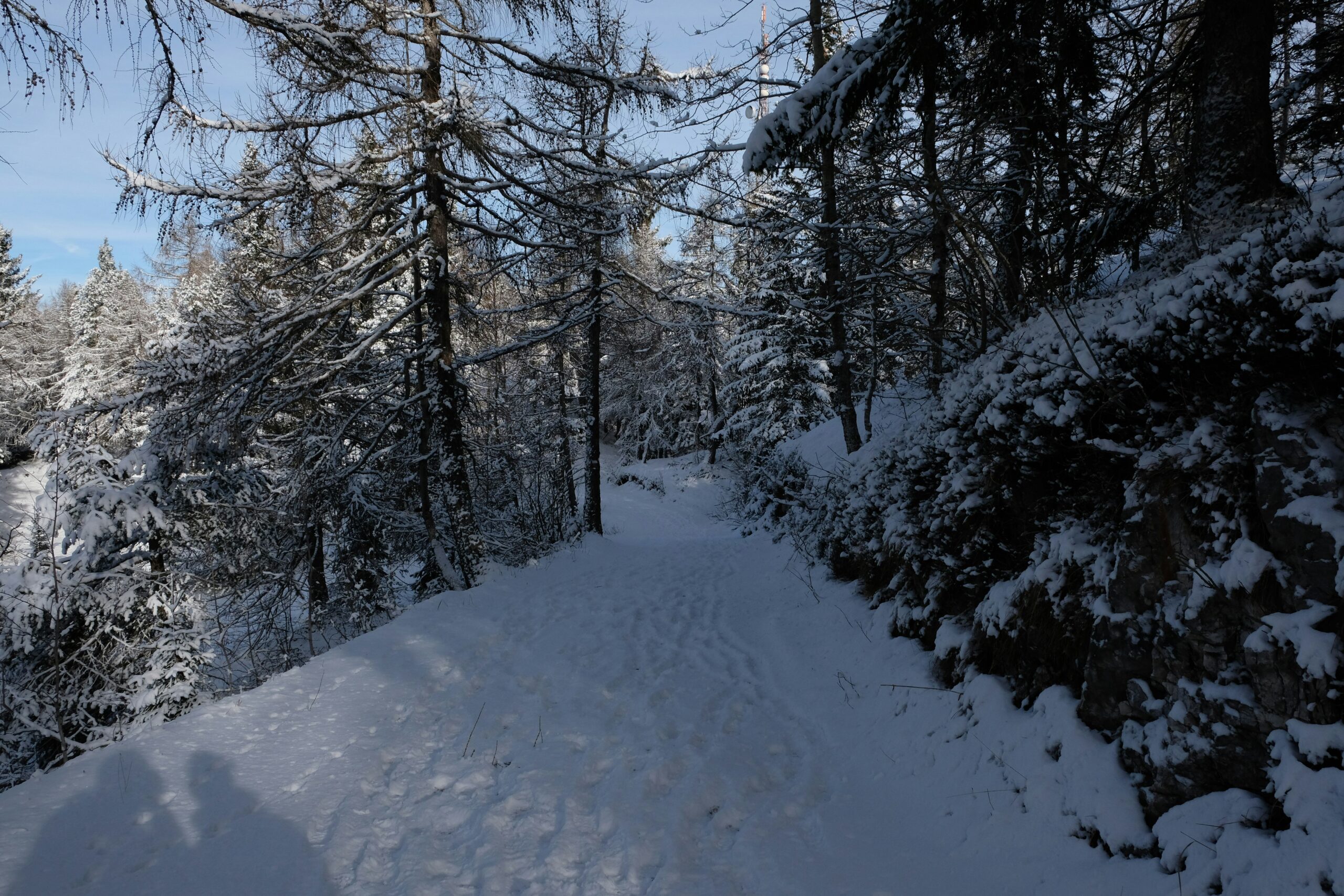 The Ultimate Guide to a Snow Trek Adventure: Uncover Hidden Trails