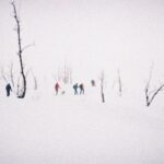 The Ultimate Snowshoe Adventure Trip: Discover Hidden Wonders (and Avoid These Blunders)