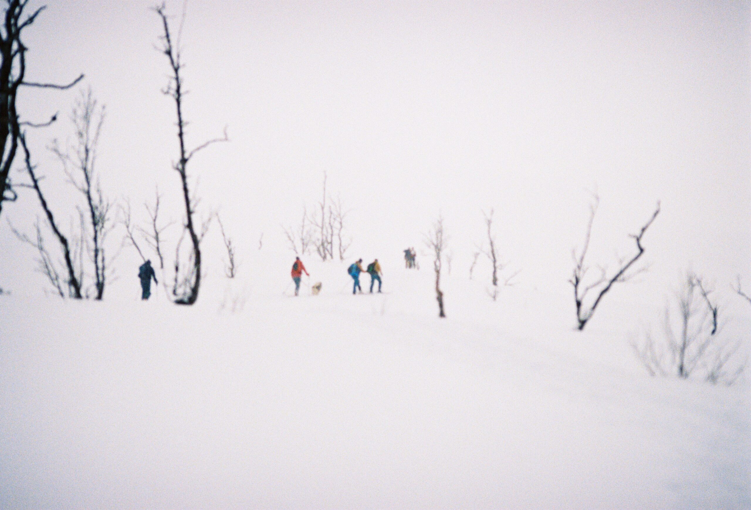 The Ultimate Snowshoe Adventure Trip: Discover Hidden Wonders (and Avoid These Blunders)