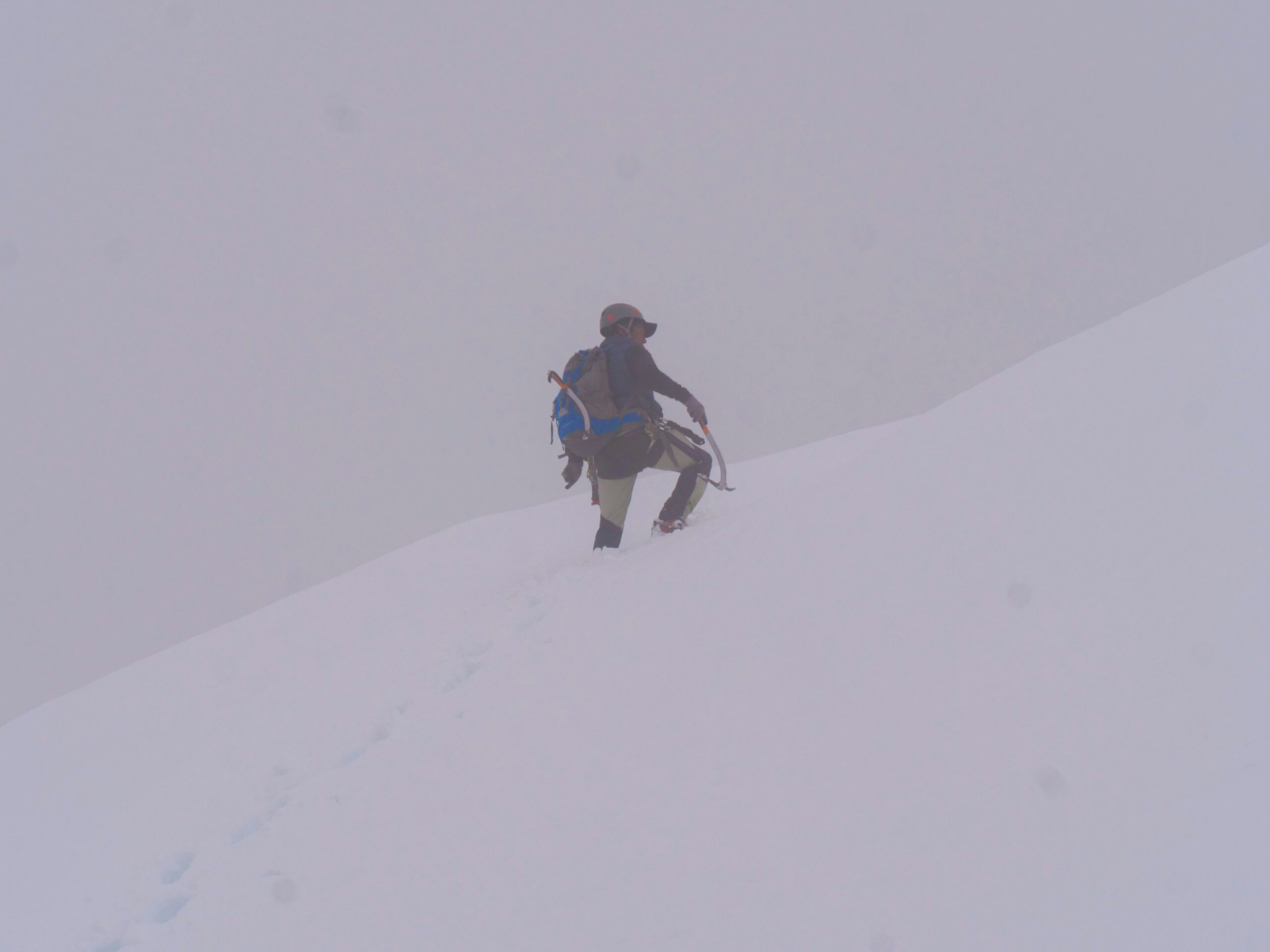 Two people snowshoeing through a snowy forest trail