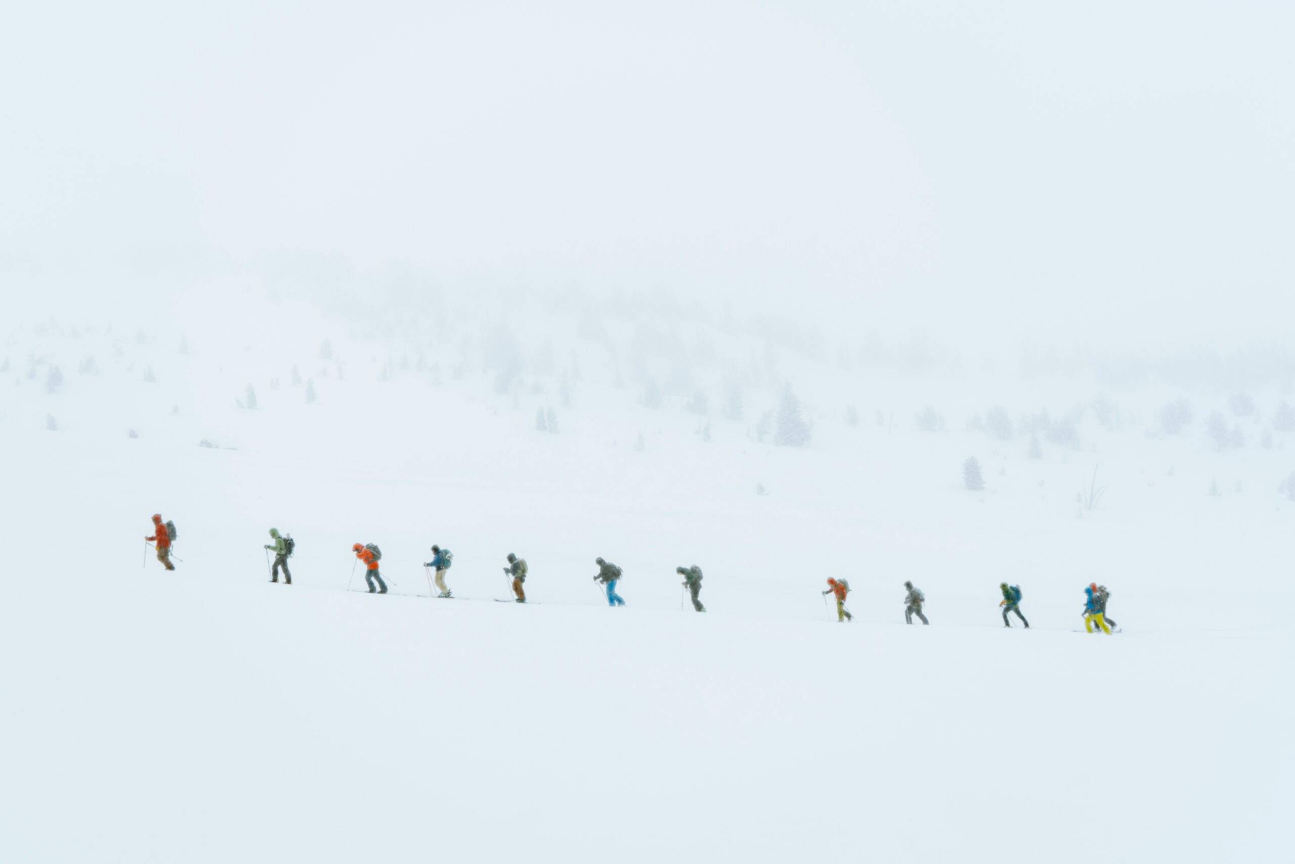 winter snowshoe adventure