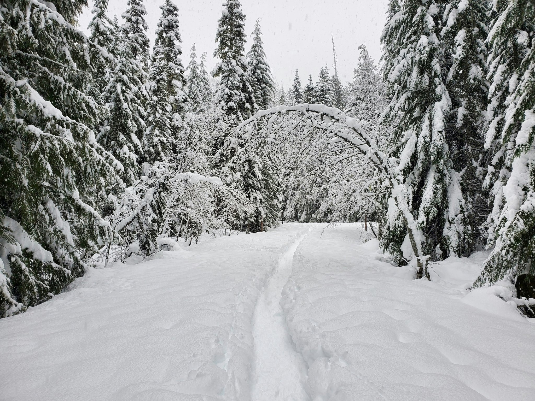 A breathtaking mountain landscape covered in fresh powder snow.