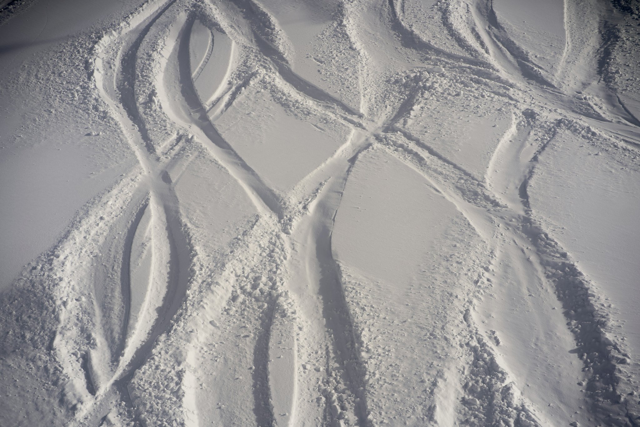 A group of friends enjoying a snowshoe tour together.