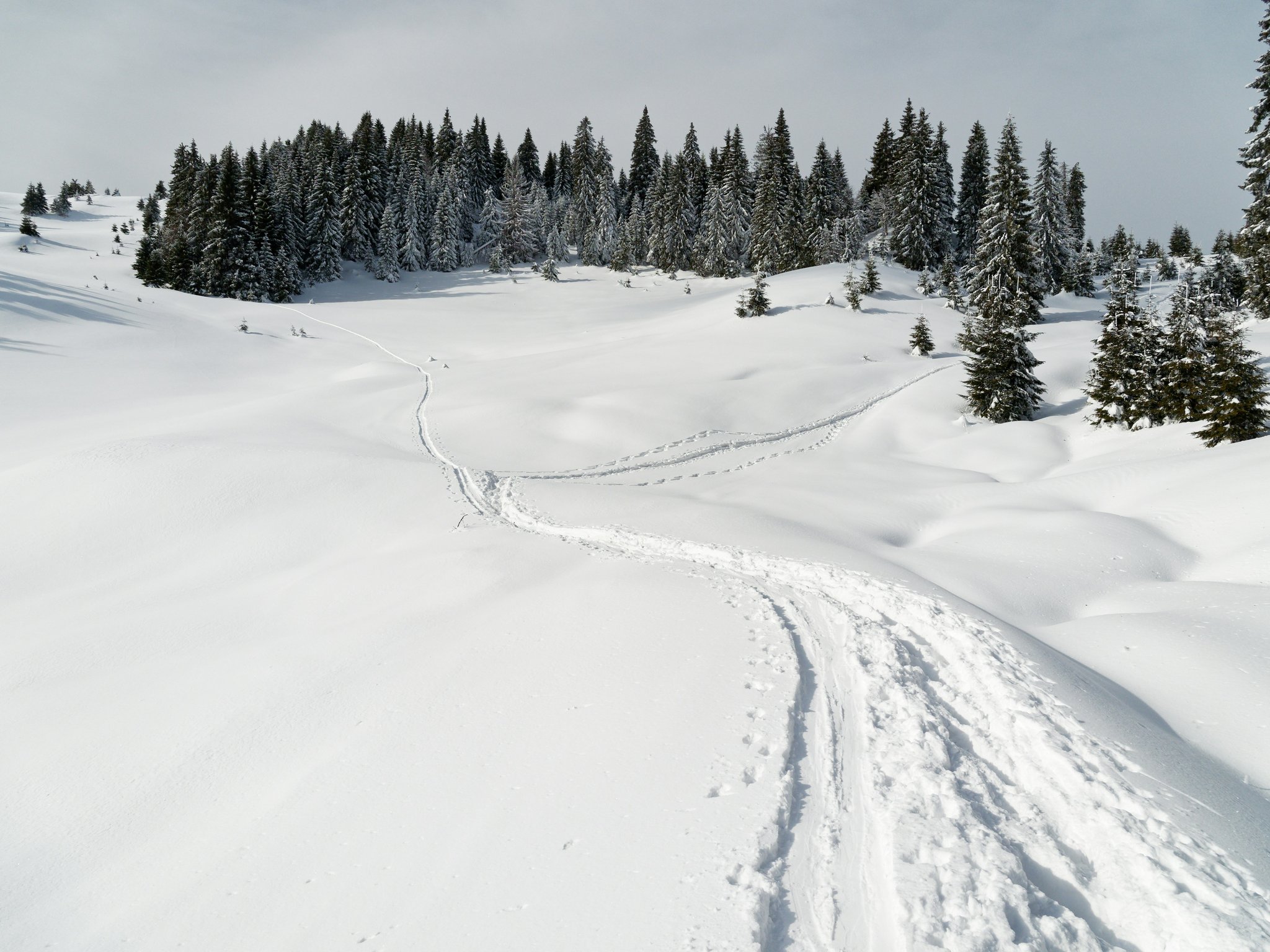 A map showing marked routes and elevation changes on a winter snow trail