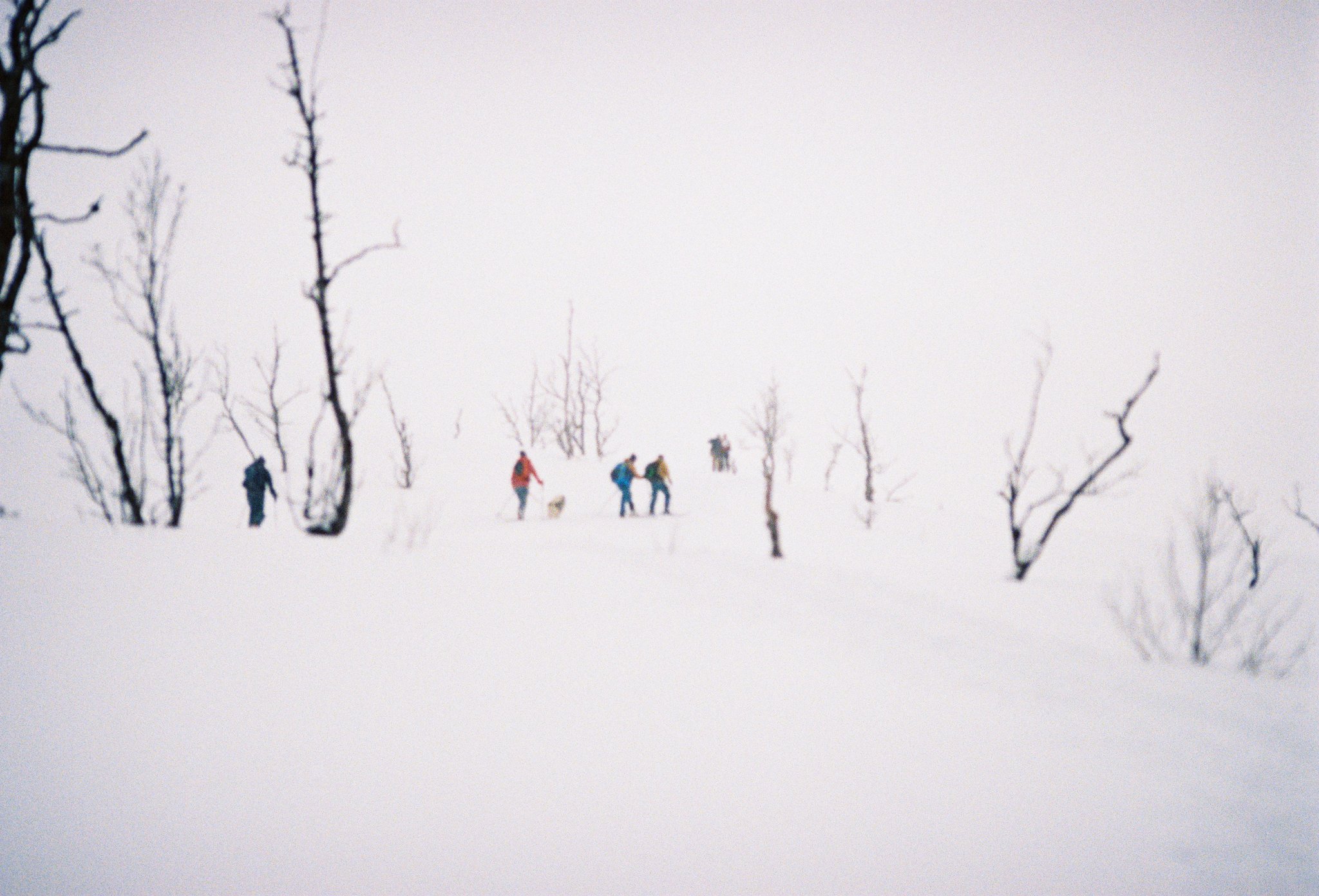 A person walking in snowshoes on a snowy trail