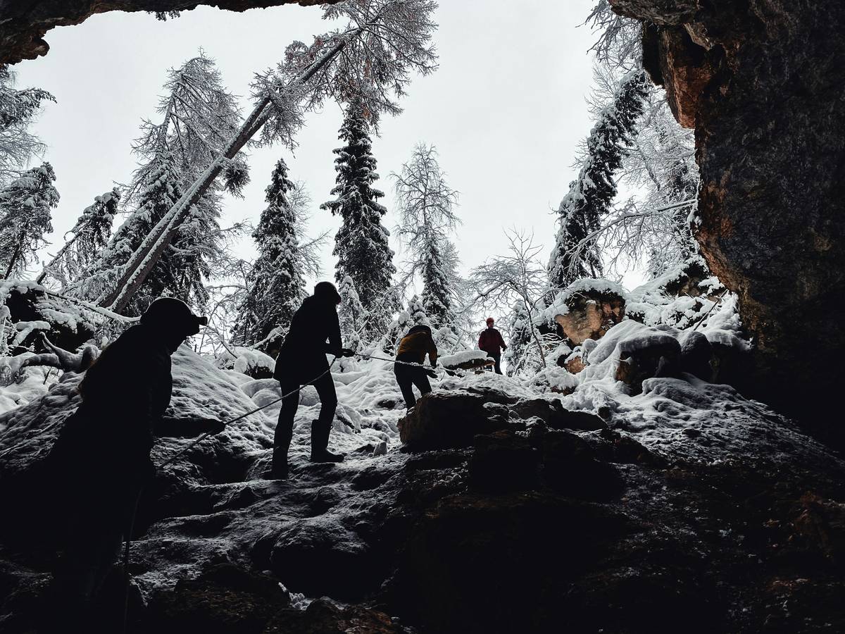 A serene forest covered in deep snow with someone walking on snowshoes
