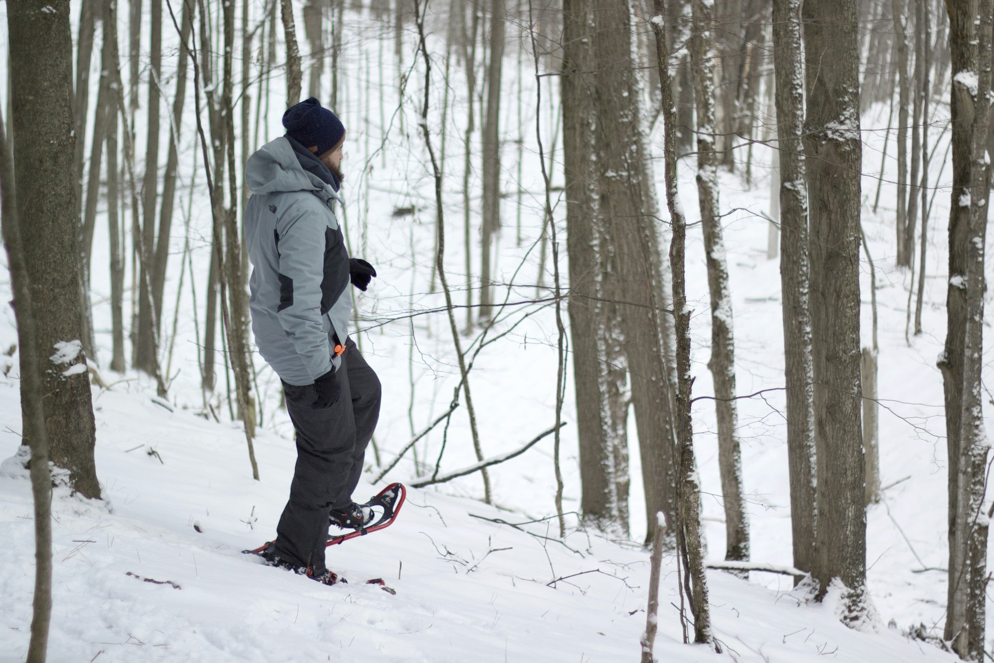 Cold Trail Snowshoe Adventures: Your Ultimate Guide to Winter Wonders