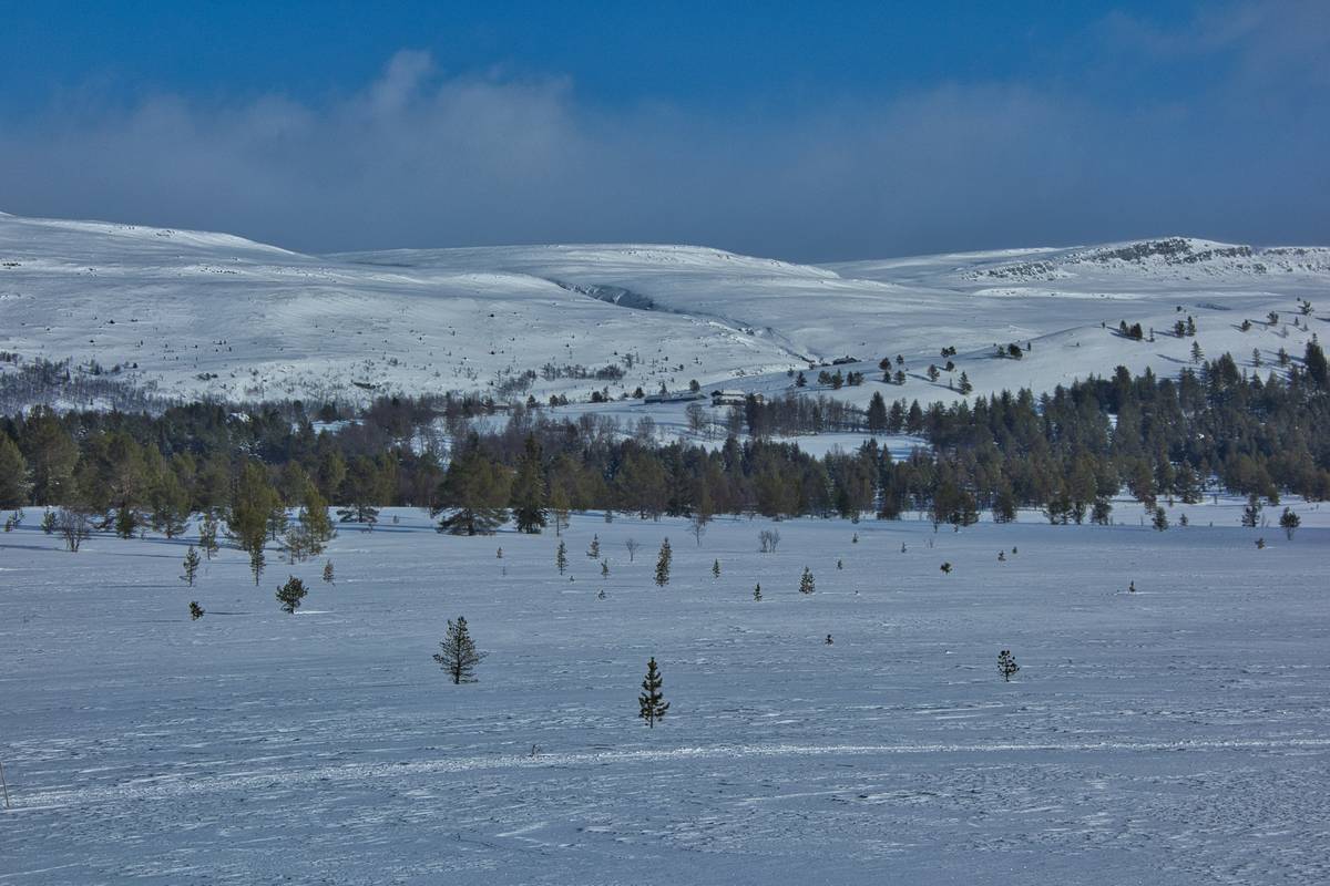 Detailed snowshoe trail map showing elevation changes and rest stops