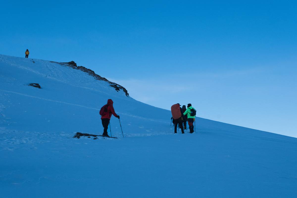 Group of friends laughing while snowshoeing under a bright moonlit sky