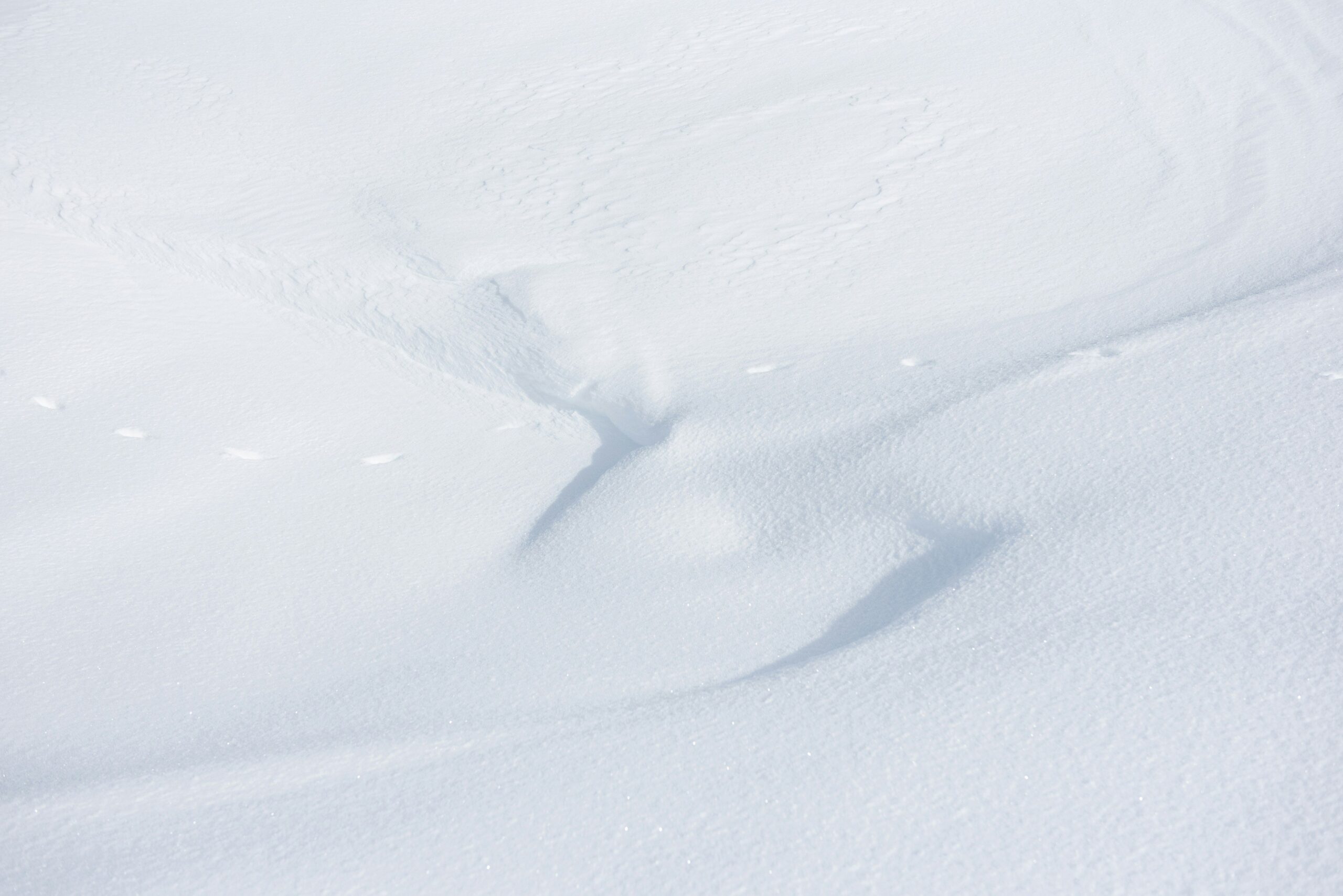 Group of happy snowshoers taking a break against a snowy backdrop