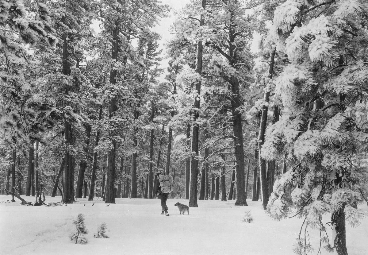 Group of tourists wearing snowshoes standing together smiling