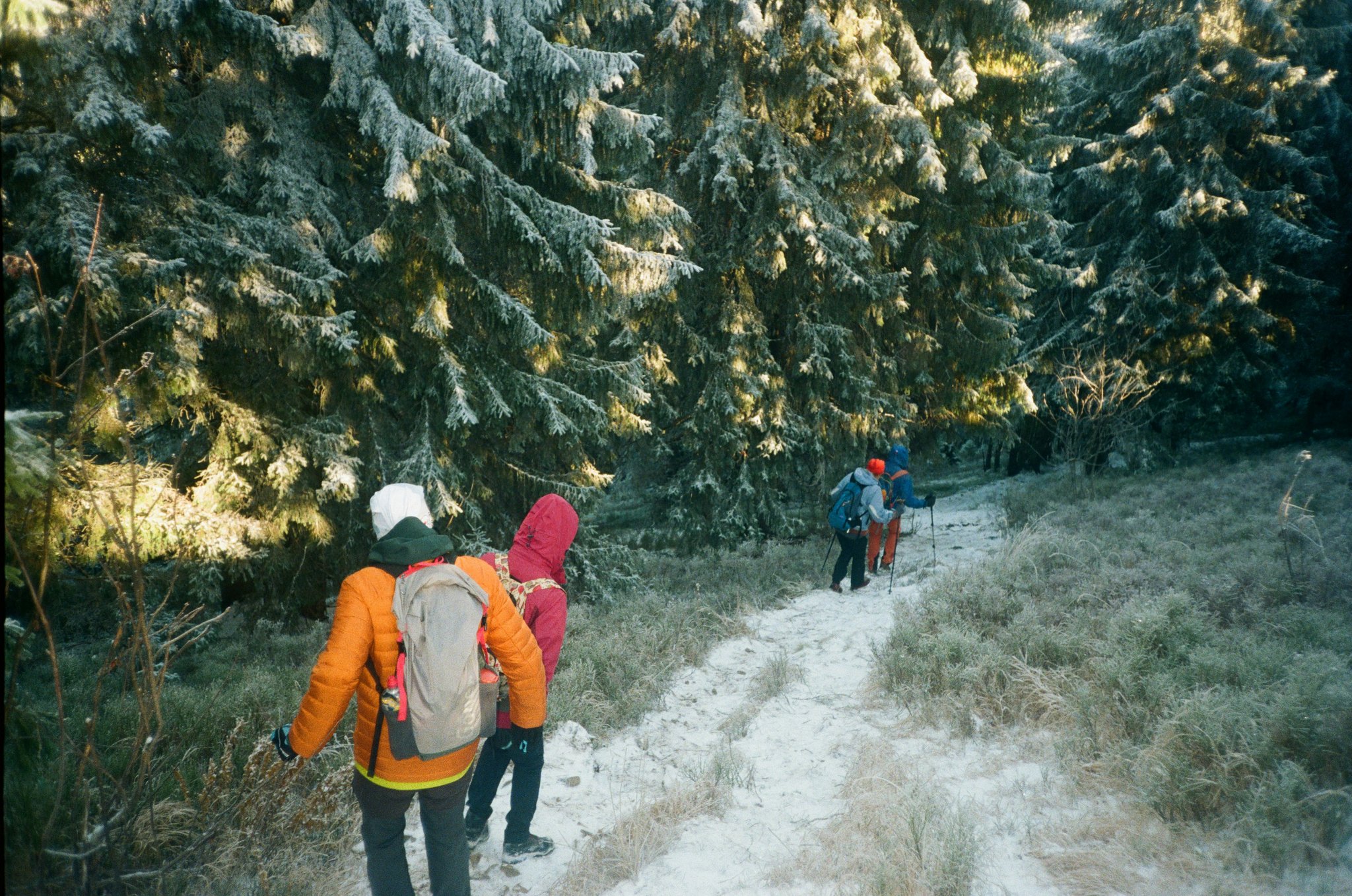 Group of travelers wearing snowshoes being led by a guide across a snowy field