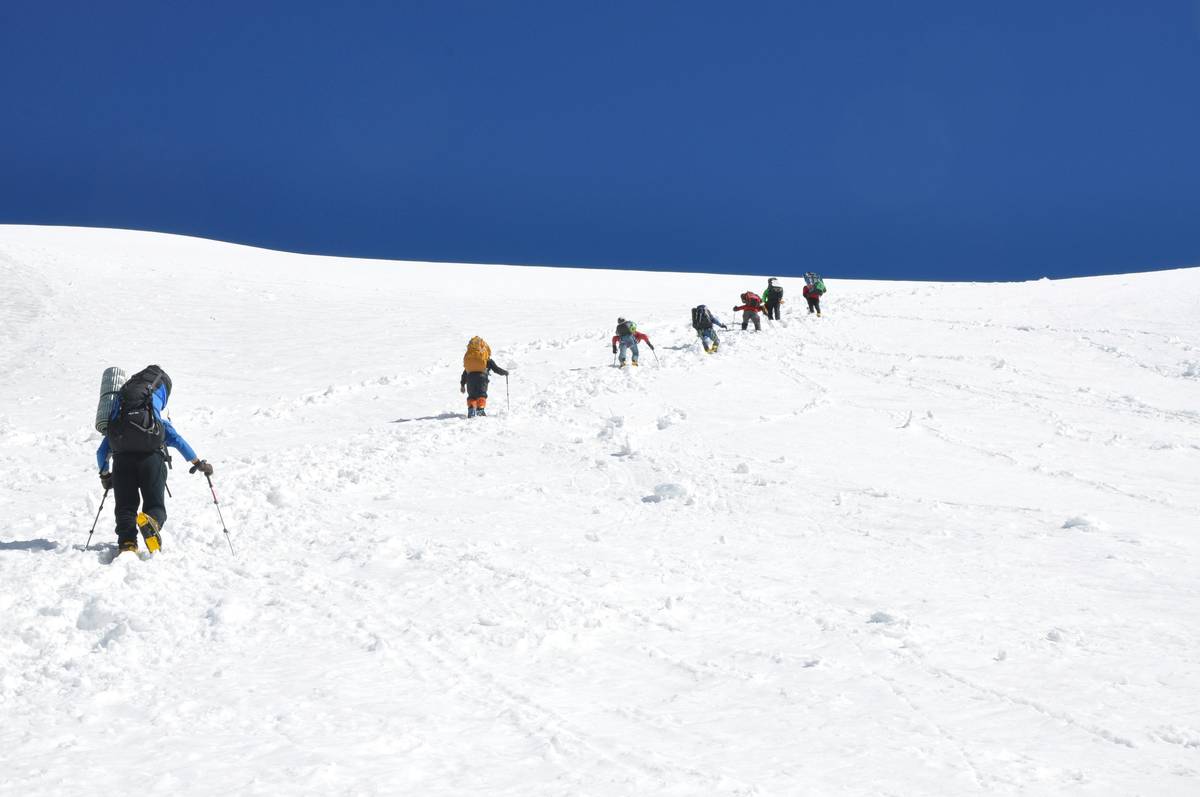 Thrilling Snowshoe Tour: Unleash Your Winter Adventure Spirit