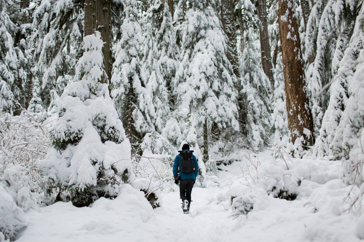 Winter Hike Snowshoe: The Ultimate Guide to Mastering the Trails