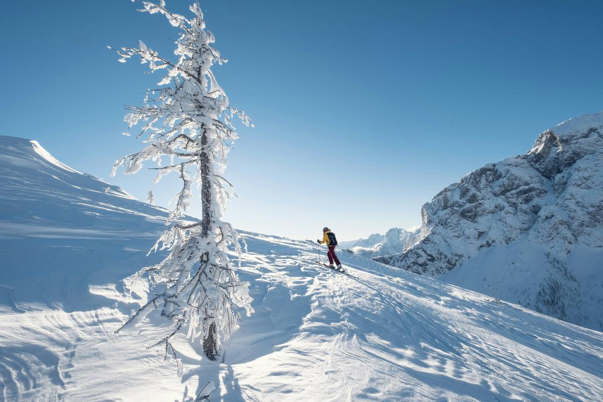 A group of people snowshoeing together under a bright blue sky
