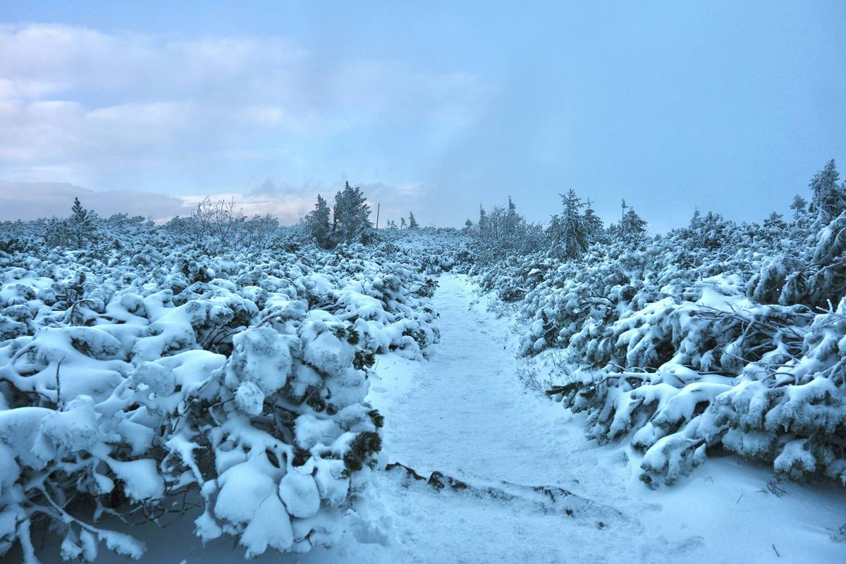 A person struggling to walk through slushy snow