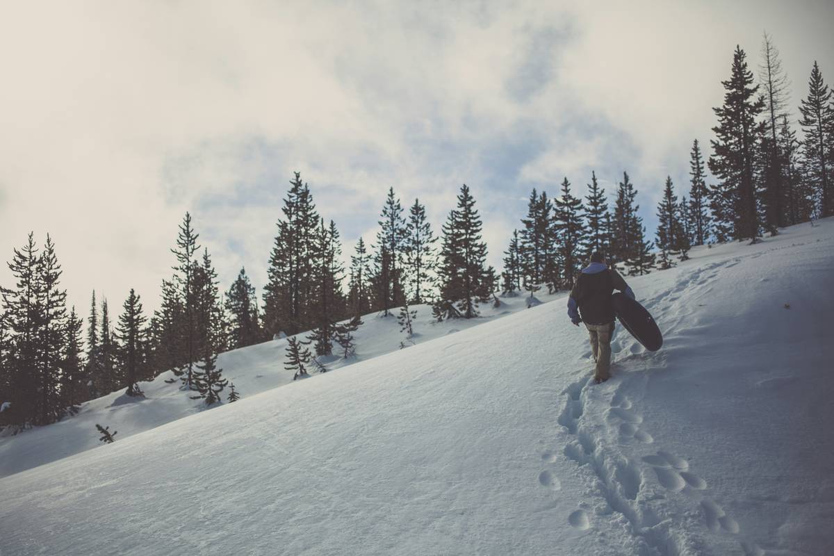 A scenic snowshoe trail winding through a forest blanketed in fresh powder