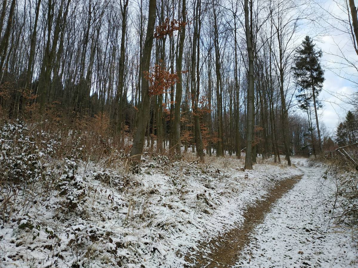Backpack filled with snacks, water bottles, and extra layers