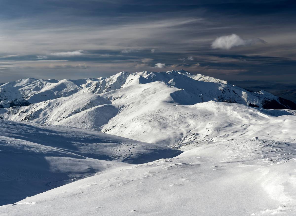 Mastering Fresh Snow Exploration: Your Ultimate Guide to Snowshoeing Tours