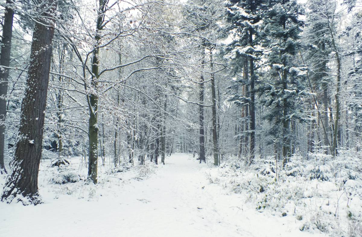Person struggling to walk with snowshoes on icy terrain
