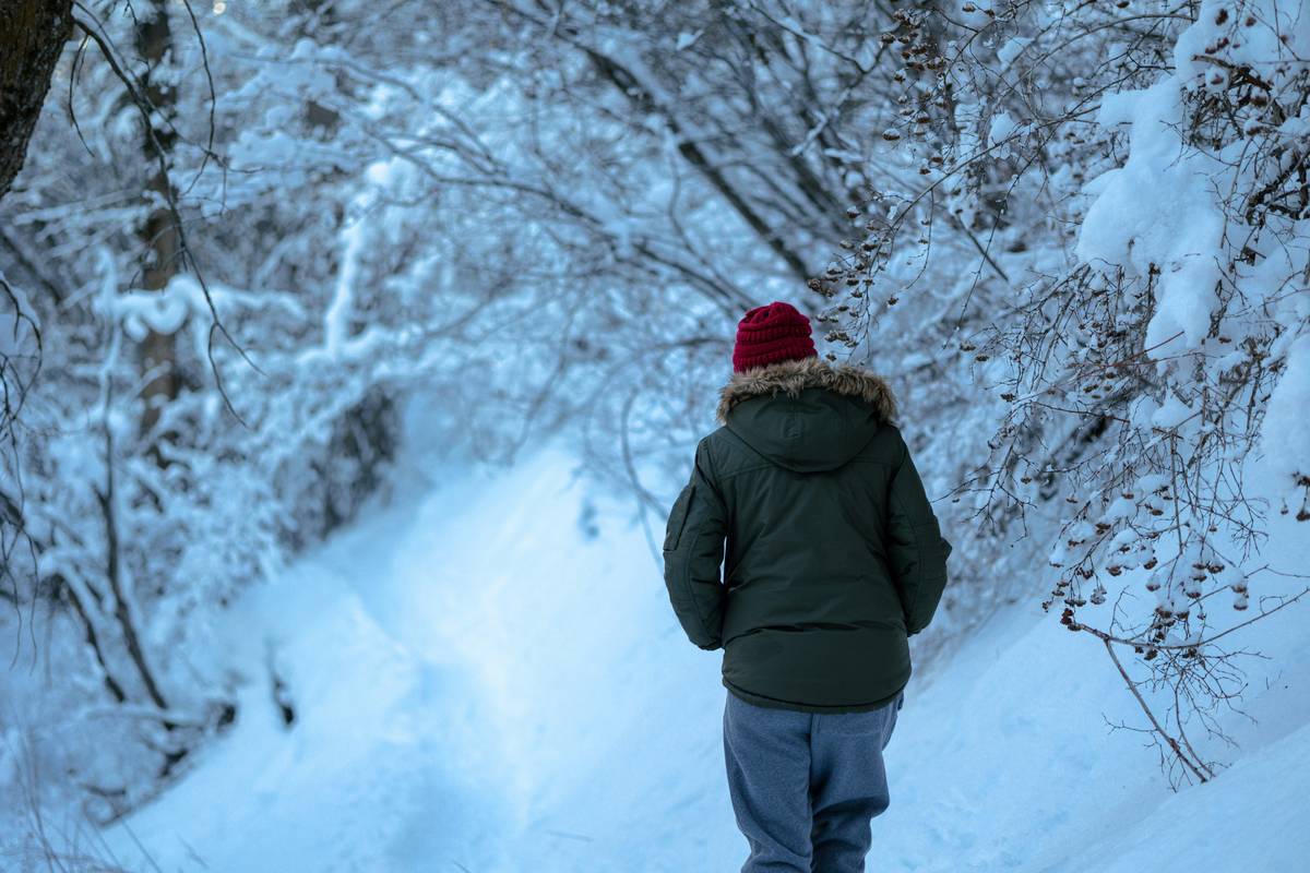 Powder Snow Expedition: Mastering the Art of Snowshoeing Tours