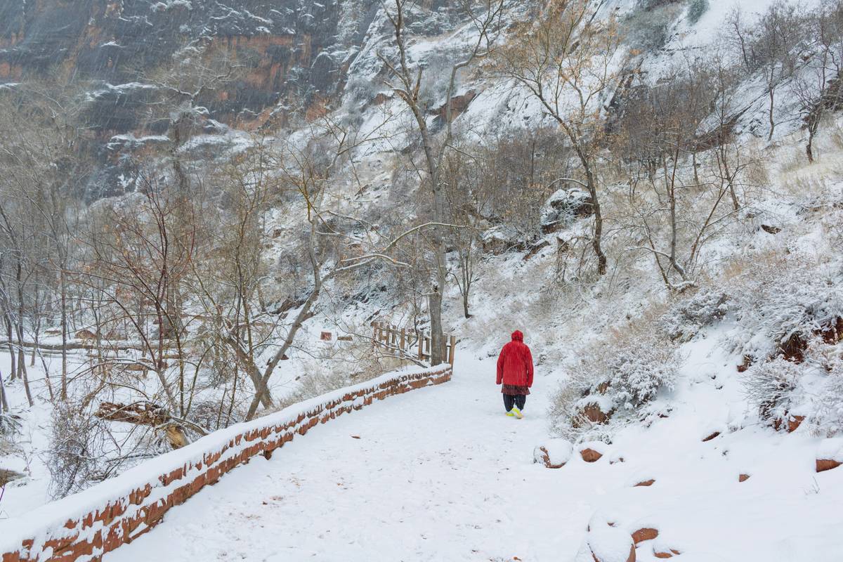 The Ultimate Guide to a Snowy Adventure Hike: Explore Nature on Snowshoes