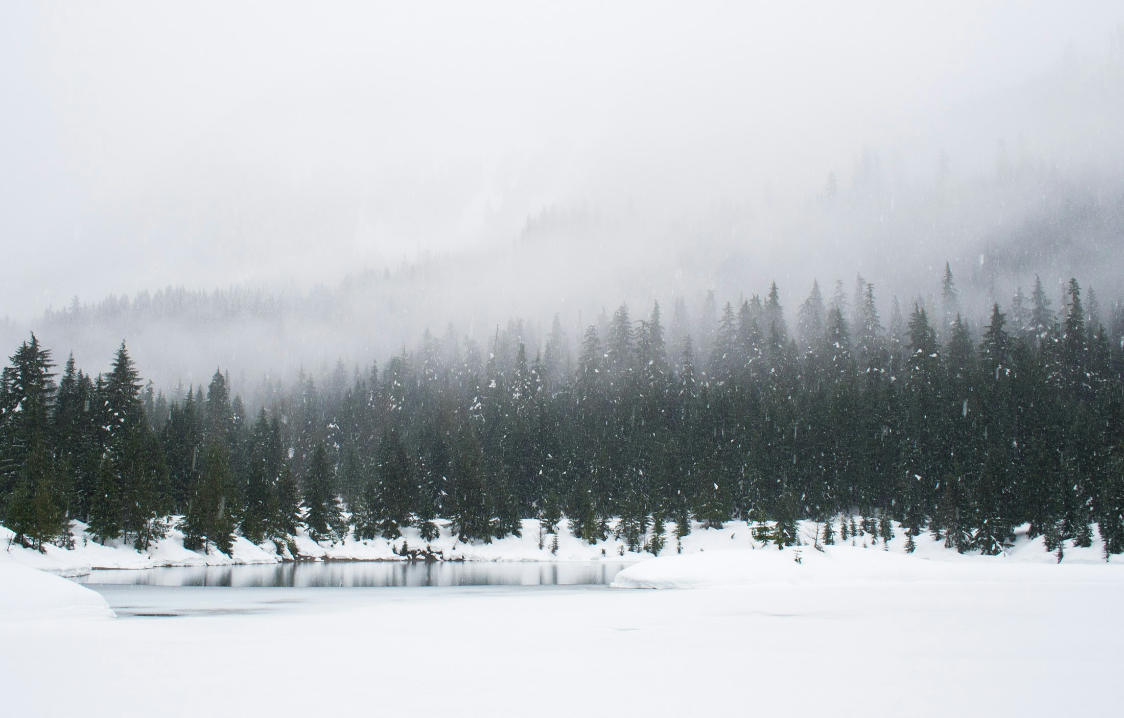 Snowshoeing on a snowy day at Gold Creek Pond.