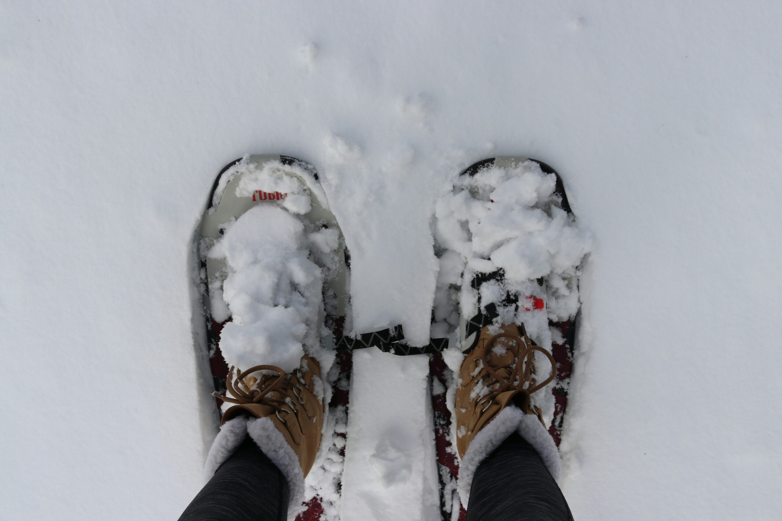 Snowshoes in the winter in Lake Tahoe.