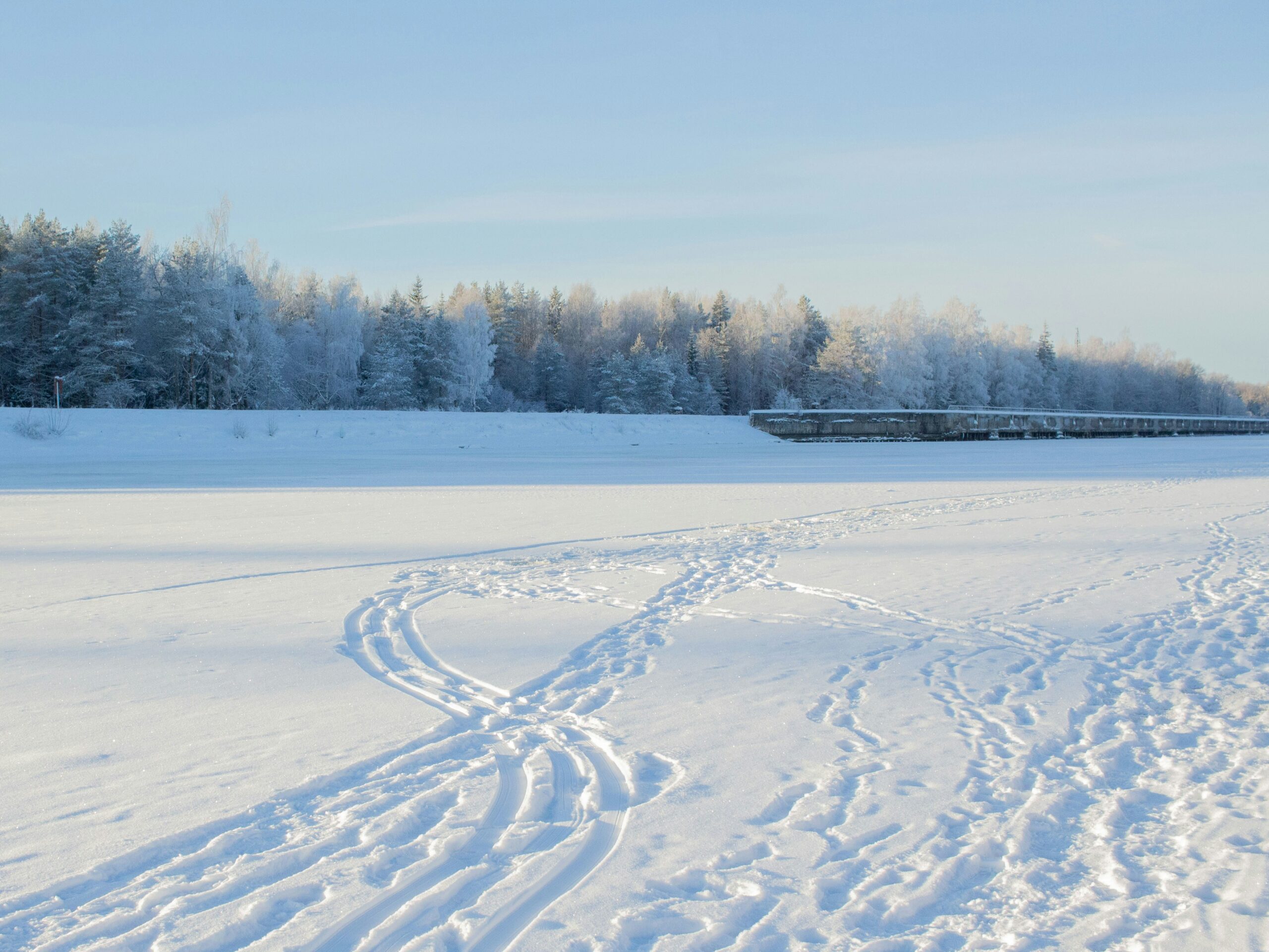 a person riding skis on a snowy surface