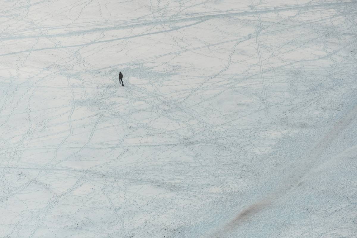 A serene snow-covered trail winding through pine trees, perfect for cold path snowshoe enthusiasts.