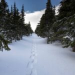 Discovering the Magic of a Fresh Snowshoe Trail: Your Ultimate Guide