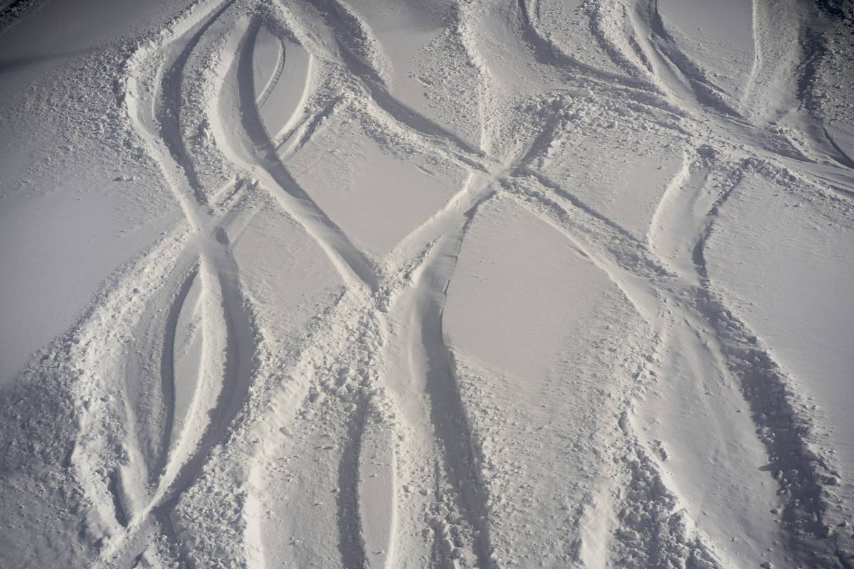 Mastering Snowshoe Powder Track Adventures: The Ultimate Guide to Winter Exploration