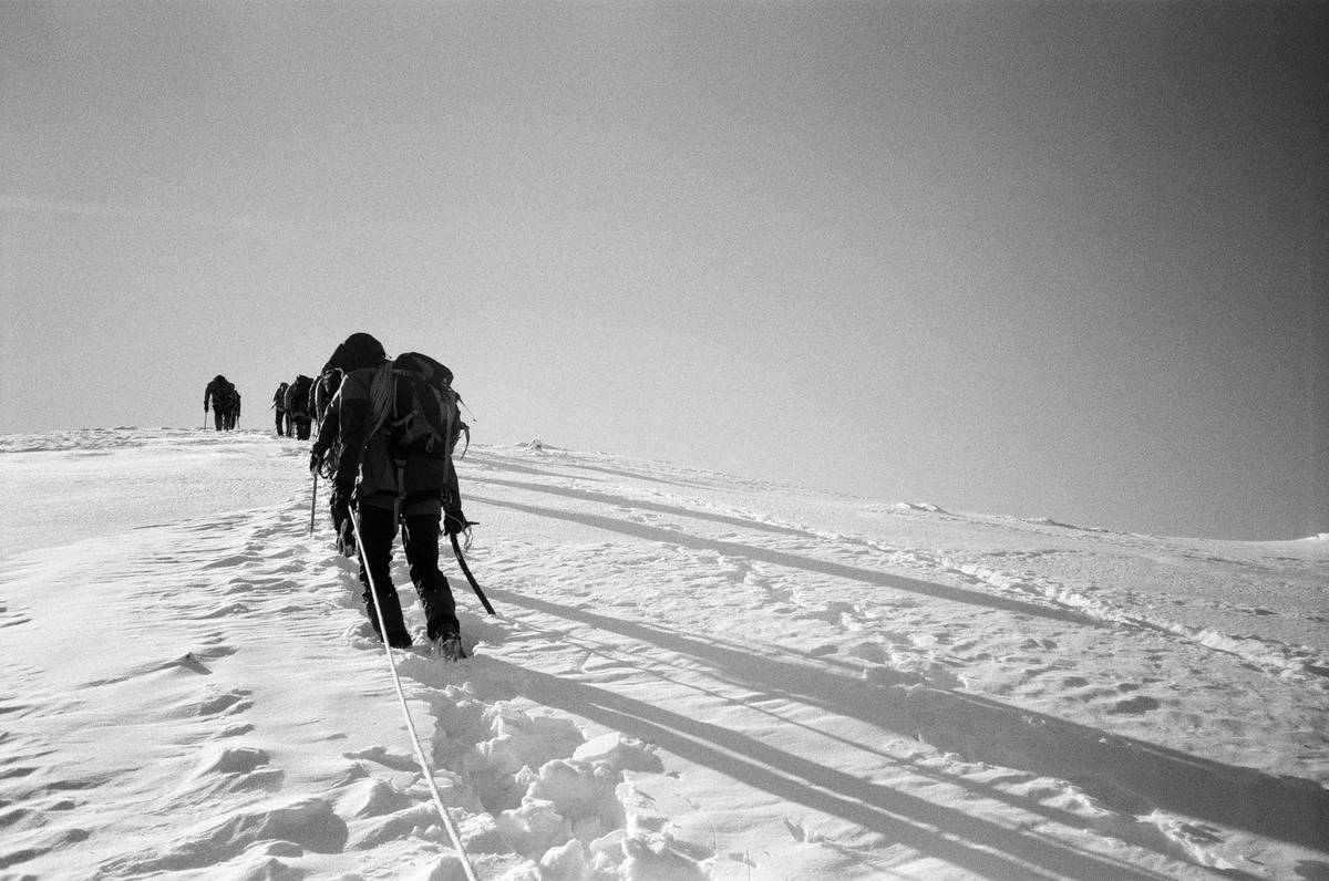 Mastering the Snow Action Path: The Ultimate Guide to Snowshoeing Tours