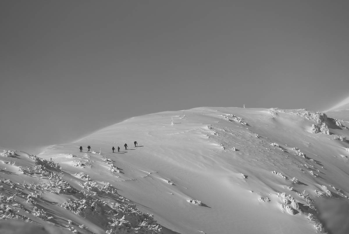 Snowshoe Action Quest: Your Ultimate Guide to Thrilling Winter Adventures