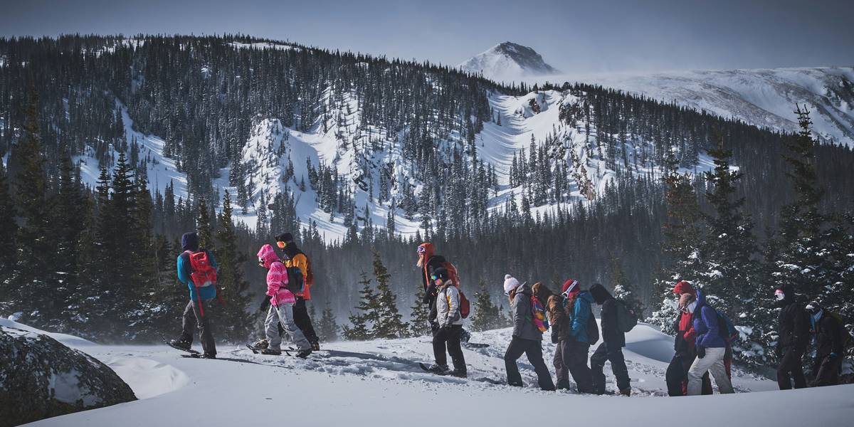 A group of happy adventurers enjoying snowshoeing on a sunny day among icy trees.