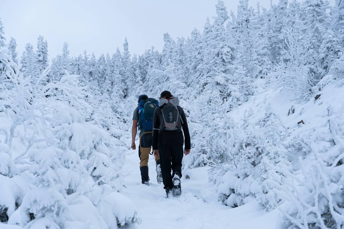 The Ultimate Frosty Path Journey: Embrace Snowshoeing Tours Like Never Before