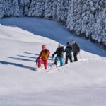 The Ultimate Guide to Cold Path Snowshoe Tours: Adventure Meets Serenity
